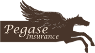 Pegase Insurance